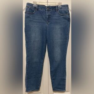 Talbot’s Flawless Five Pocket Blue Jeans